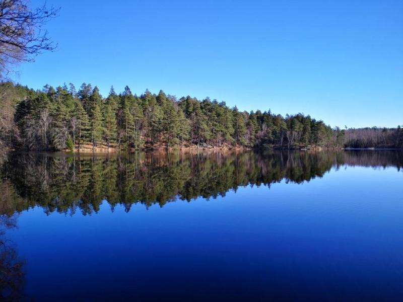 Hagavik 8 Villa Växjö Kültér fotó